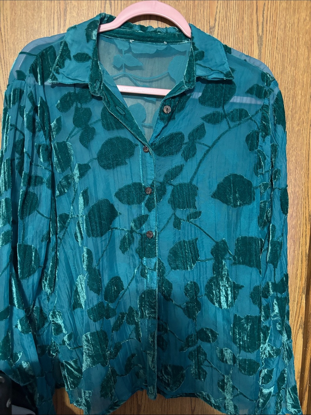 Teal Leaf Velvet Burnout Button-Up Top - Women